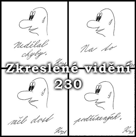 Zkreslené vidění